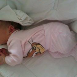 IMAG0987.jpg