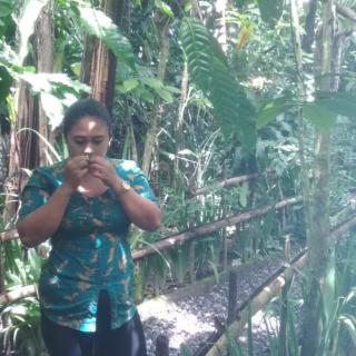 received_2259584117590296.jpeg