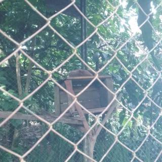 received_2488083437871357.jpeg