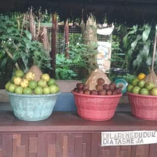 received_295659224698067.jpeg