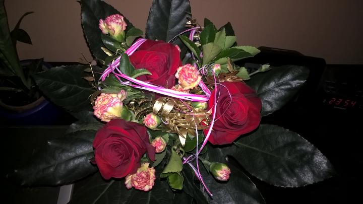 WP_20151224_23_53_14_Pro.jpg