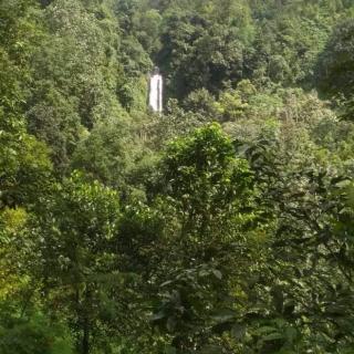 received_420158125384708.jpeg