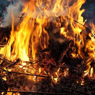 Foto uživatele ivabalk z Pixabay.com