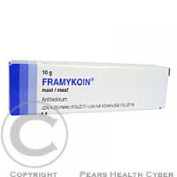Framykoin mast
