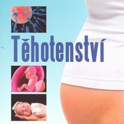 Jit Gill - Ottova encyklopedie Těhotenství
