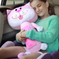 kocicka-seatpets-1422980266--resize-143x215!.jpg