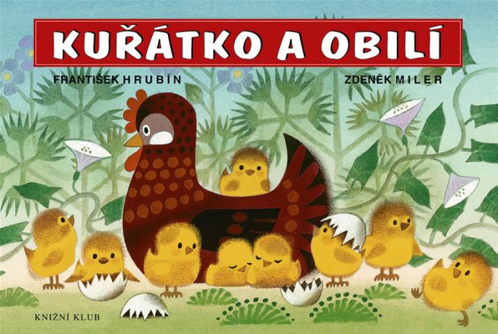 kuřátko.jpg