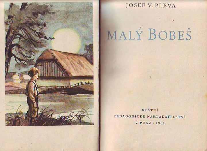 maly bobes.JPG