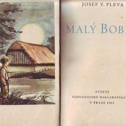maly bobes.JPG