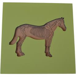 Montessori pomůcky Puzzle s kostrou - kůň