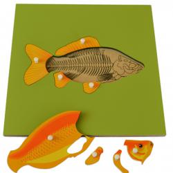 Montessori pomůcky Puzzle s kostrou - ryba