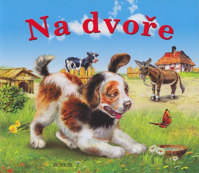 na dvoře.jpg