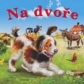 Na dvoře