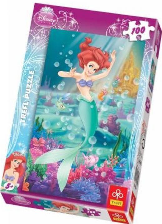 puzzle Ariel - 100 dílků