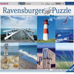 Ravensburger Přístav 1000d