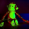 Teddies-svíticí opice