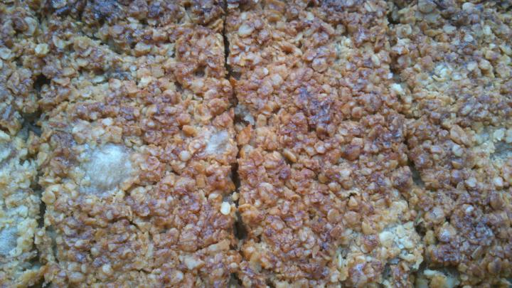 Flapjack.jpg