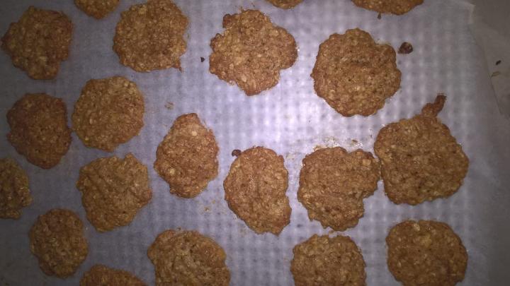 14500496_10206768944252617_602701782651197408_o.jpg