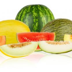 meloun_Fotolia_53993825_XS1.jpg