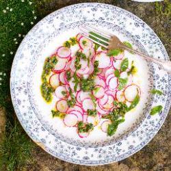 redkvickovy-salat.jpg