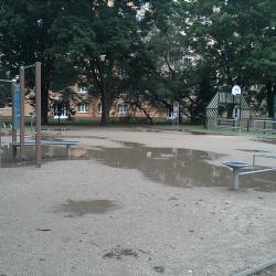 IMG1059.jpg