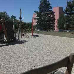 IMG1034.jpg