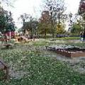 Poděbrady - Kubovy sady