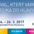 Festival evolution