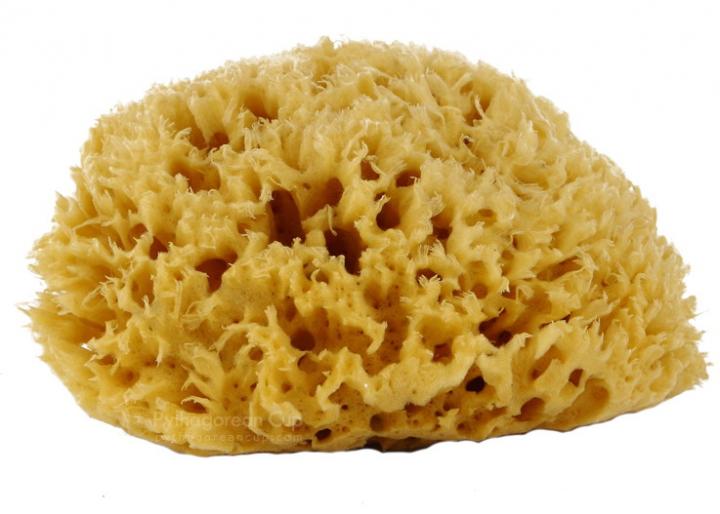 honey_5.jpg