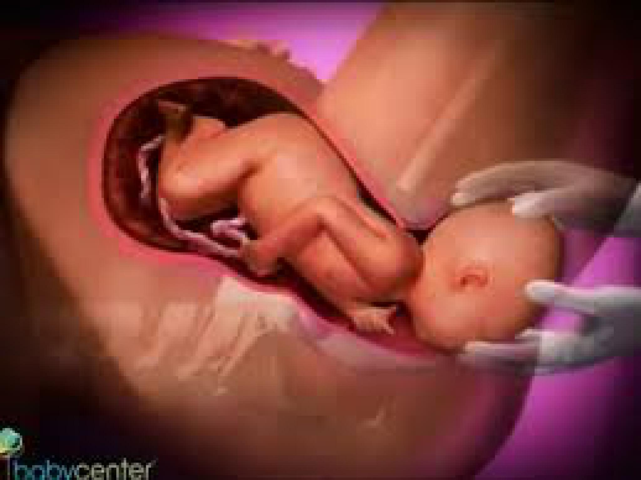 Беременность 40 недель 1 роды. Рождение ребенка изнутри. Процесс рождения ребенка. Рождение головки ребенка.