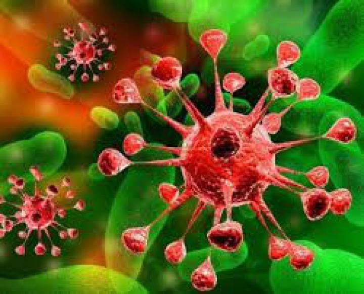 images.jpg