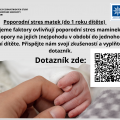 Poporodní stres matek (do 1 roku dítěte)