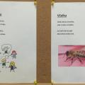 Poprvé v nové školce - ve VČELIČKÁCH ??