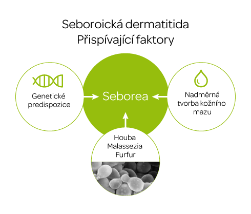 seborea.png