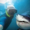 Vánoční charitativní selfie kampaň Publicis Prague