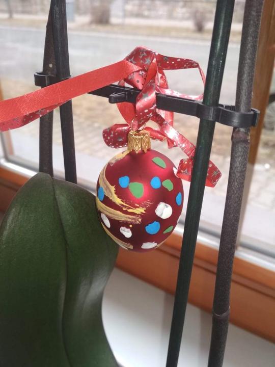 received_2046271358994221.jpeg