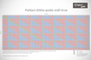 pohlavi-ditete-podle-krve-download.jpg