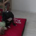 PIC_0662.JPG