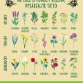FB_IMG_1522498447156.jpg