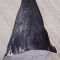 _20200430_094010.JPG