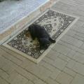 IMG-20170815-WA0000.jpg