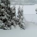 IMG-20170419-WA0001.jpg