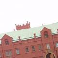 20200509_081005.jpg