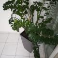 IMG_20190328_070547.jpg