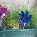IMG_20200501_181611.jpg