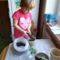 IMG_20200402_142132.jpg