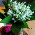 IMG_20200510_200852.jpg