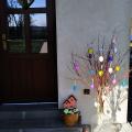 IMG_20200405_223428.jpg