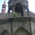OLYMPUS DIGITAL CAMERA_1883.jpg