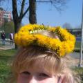 IMG_20200425_202949.jpg
